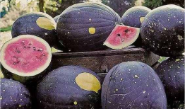 兰州吃瓜爆料是真的吗,真相揭秘，是真是假？